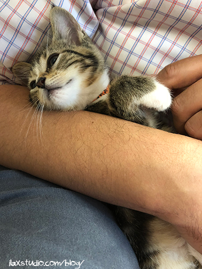 Guess who’s coming home next week?